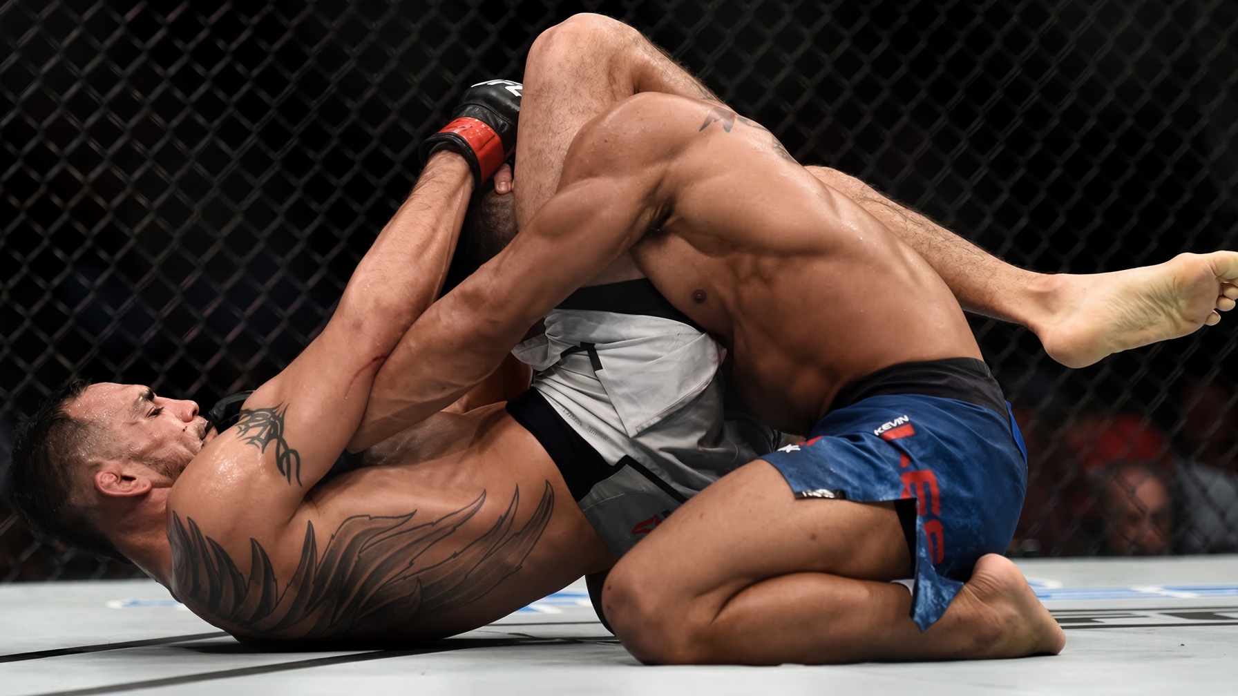 A fighter locking a triangle choke with the legs from the bottom.