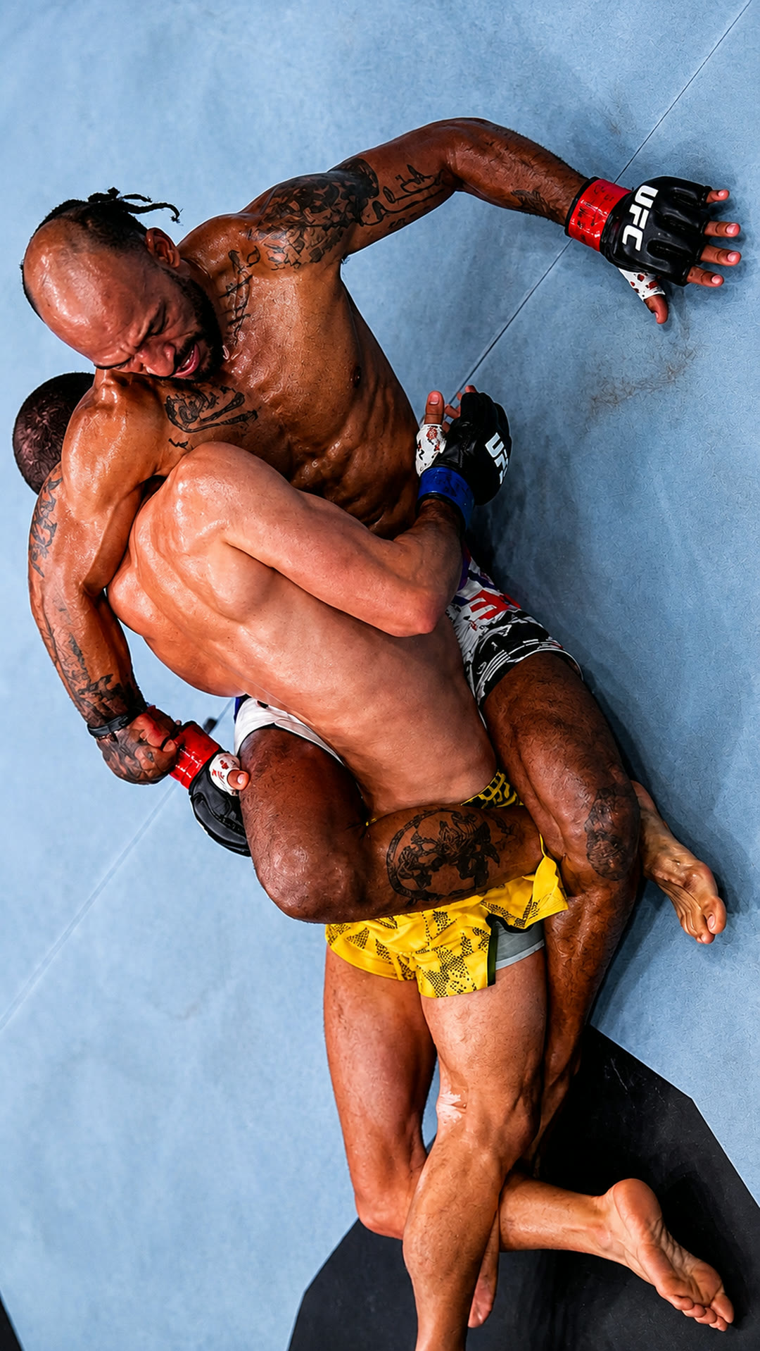 Charles Johnson finishing Eduardo Chapolin with a twister from back control at UFC 330.
